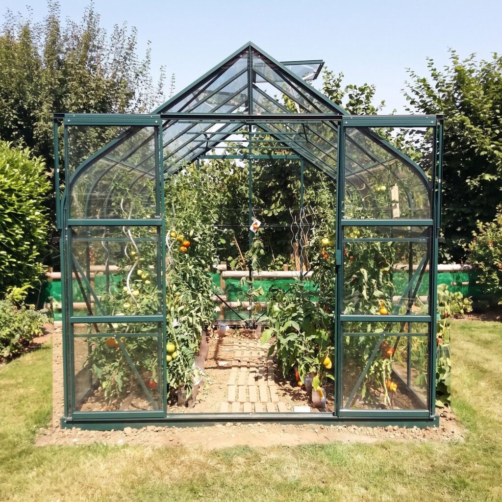 Serre en verre Aloé 8,1 m² - Double porte coulissante et lucarnes